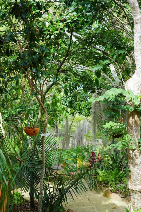 El Paraiso Posada Finca San Vicente Barichara Exterior foto